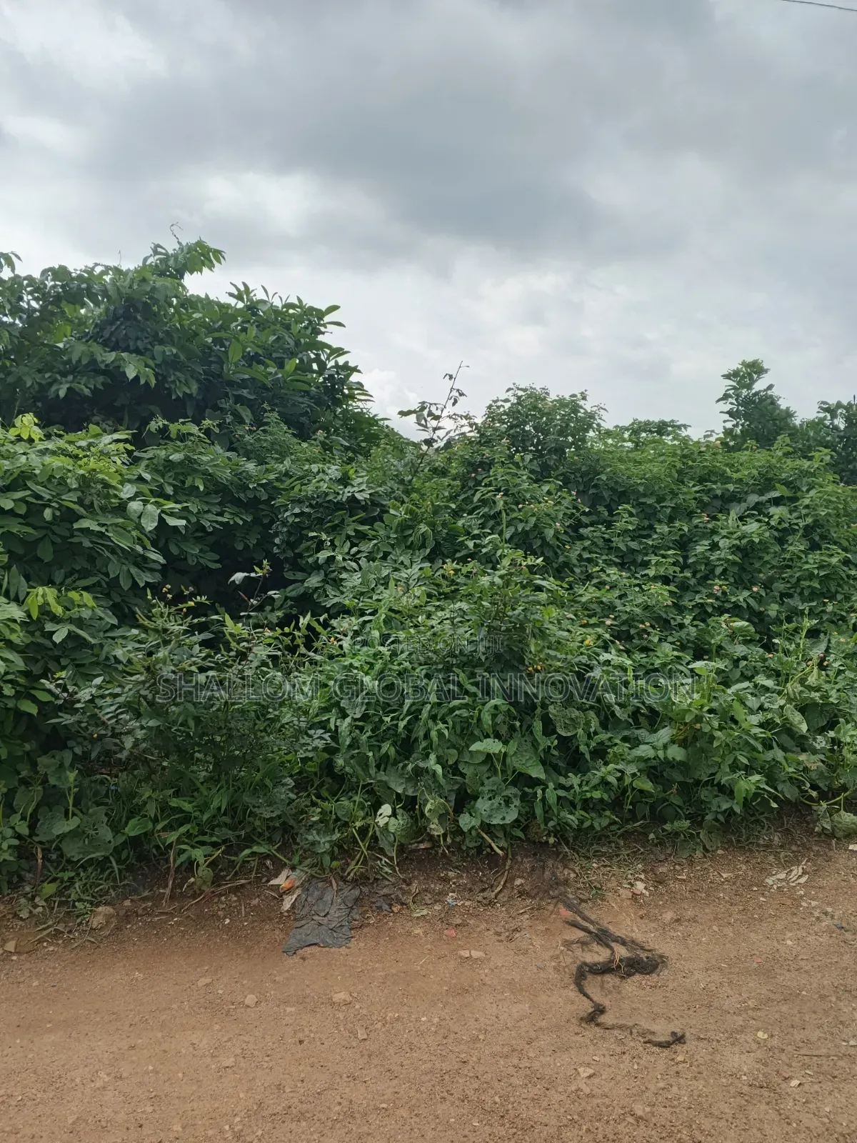 Land And Plot For Sale