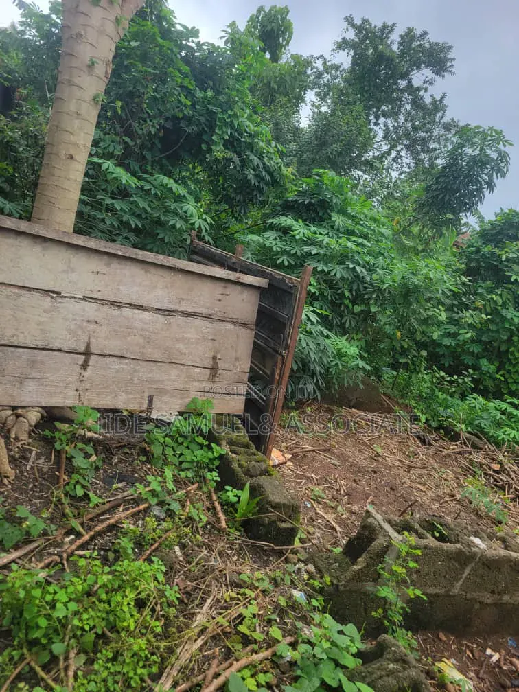 Full Plots of Land at Onibeji Ayobo Lagos