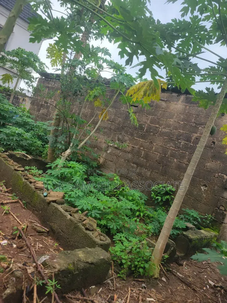 Full Plots of Land at Onibeji Ayobo Lagos