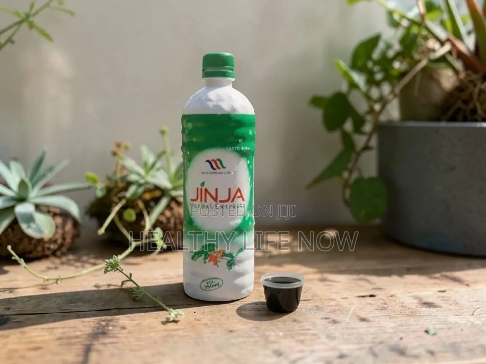 Jinja Herbal Extract Fight Bacteria, Fungi and Other Stubborn Ailments