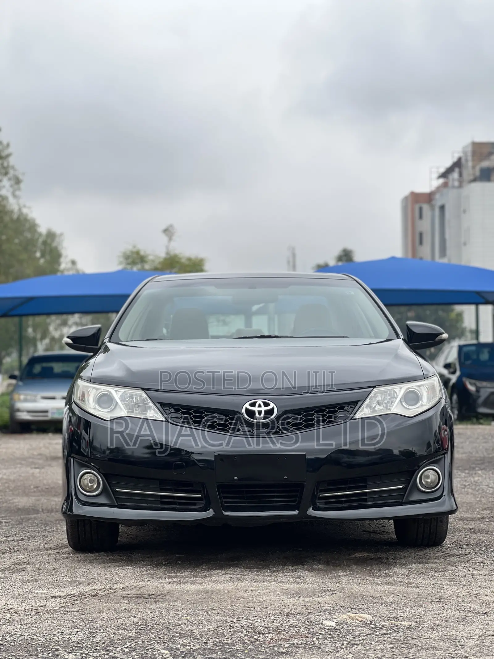 Toyota Camry XLE 4dr Sedan (2.5L 4cyl 6A) 2013 Black