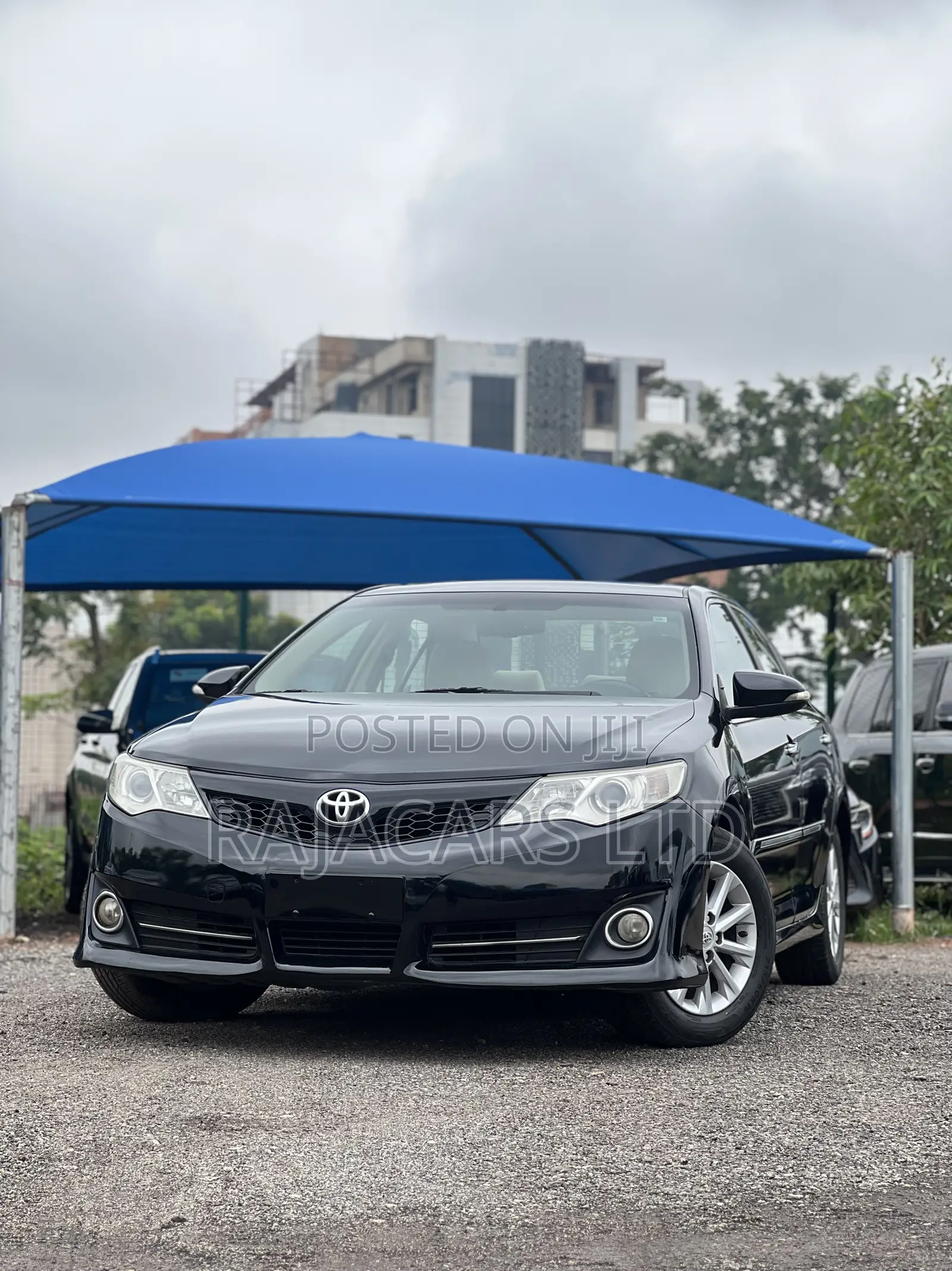 Toyota Camry XLE 4dr Sedan (2.5L 4cyl 6A) 2013 Black
