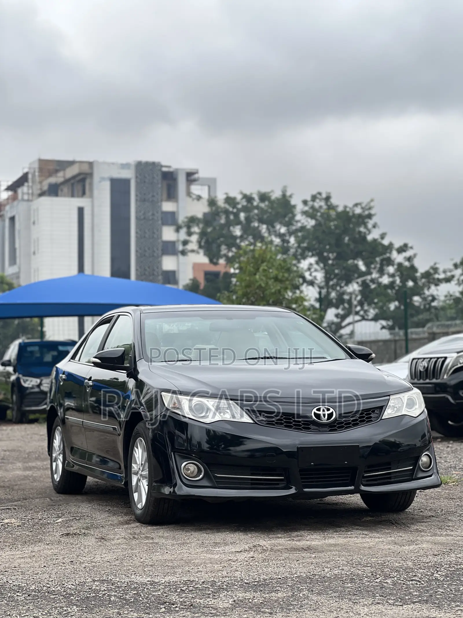 Toyota Camry XLE 4dr Sedan (2.5L 4cyl 6A) 2013 Black