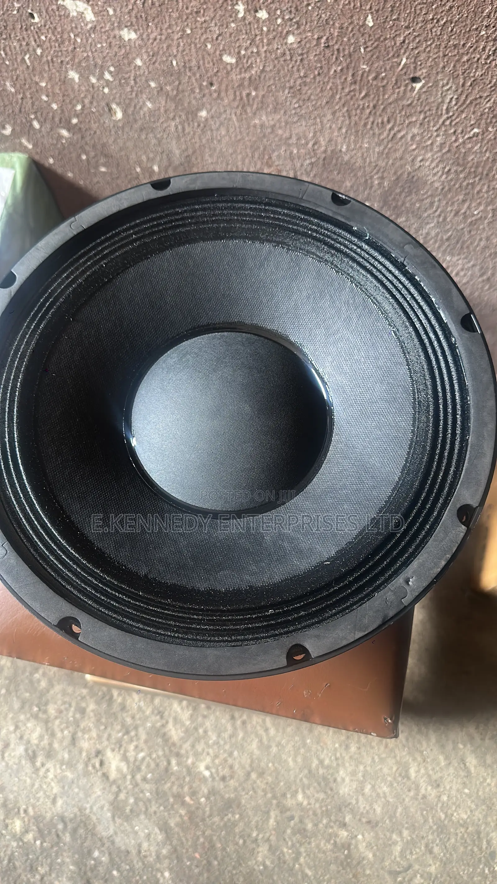 BWX 12 Inch Naked Speaker (100 Coil)