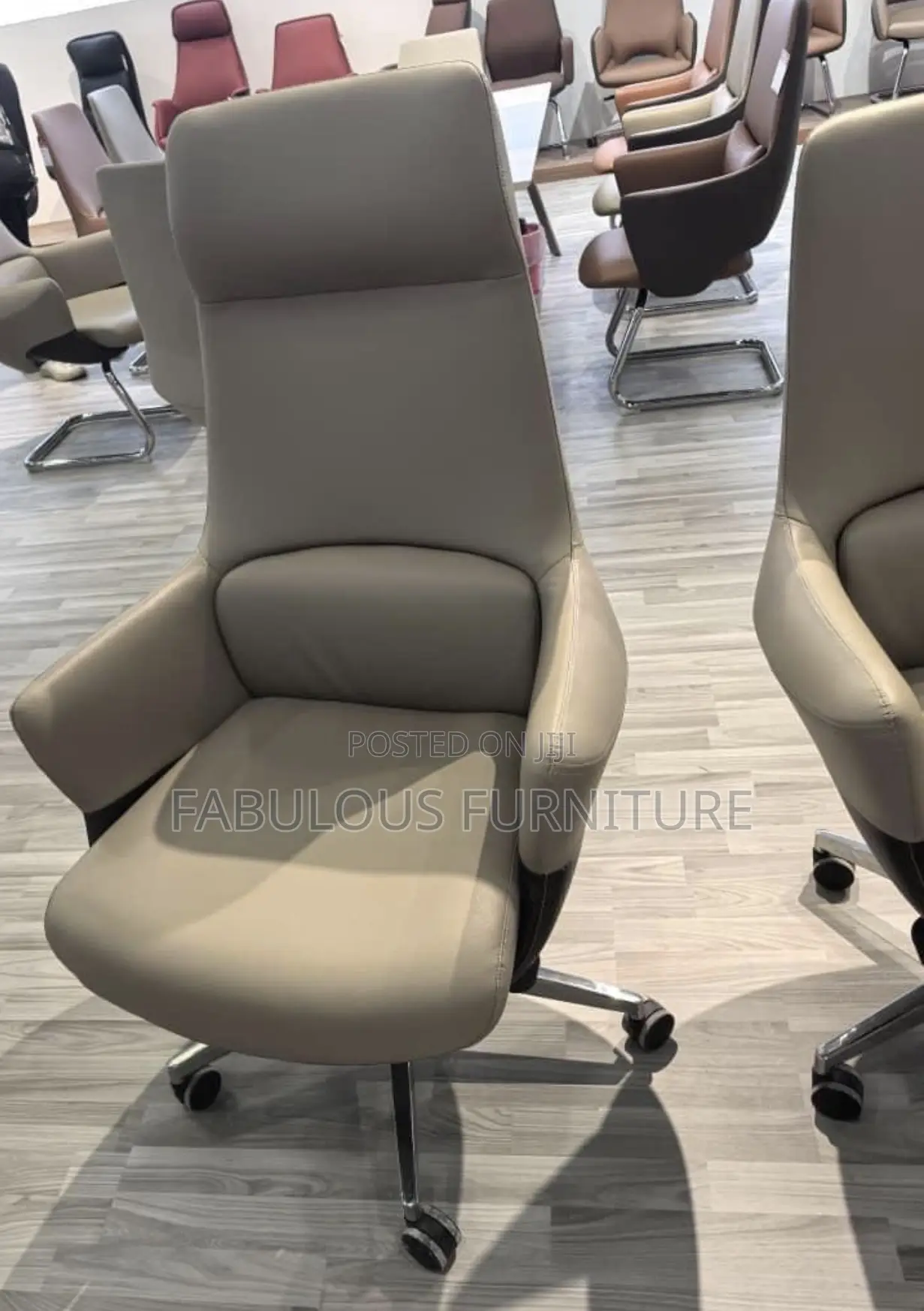 Imported Executive Office Chairs