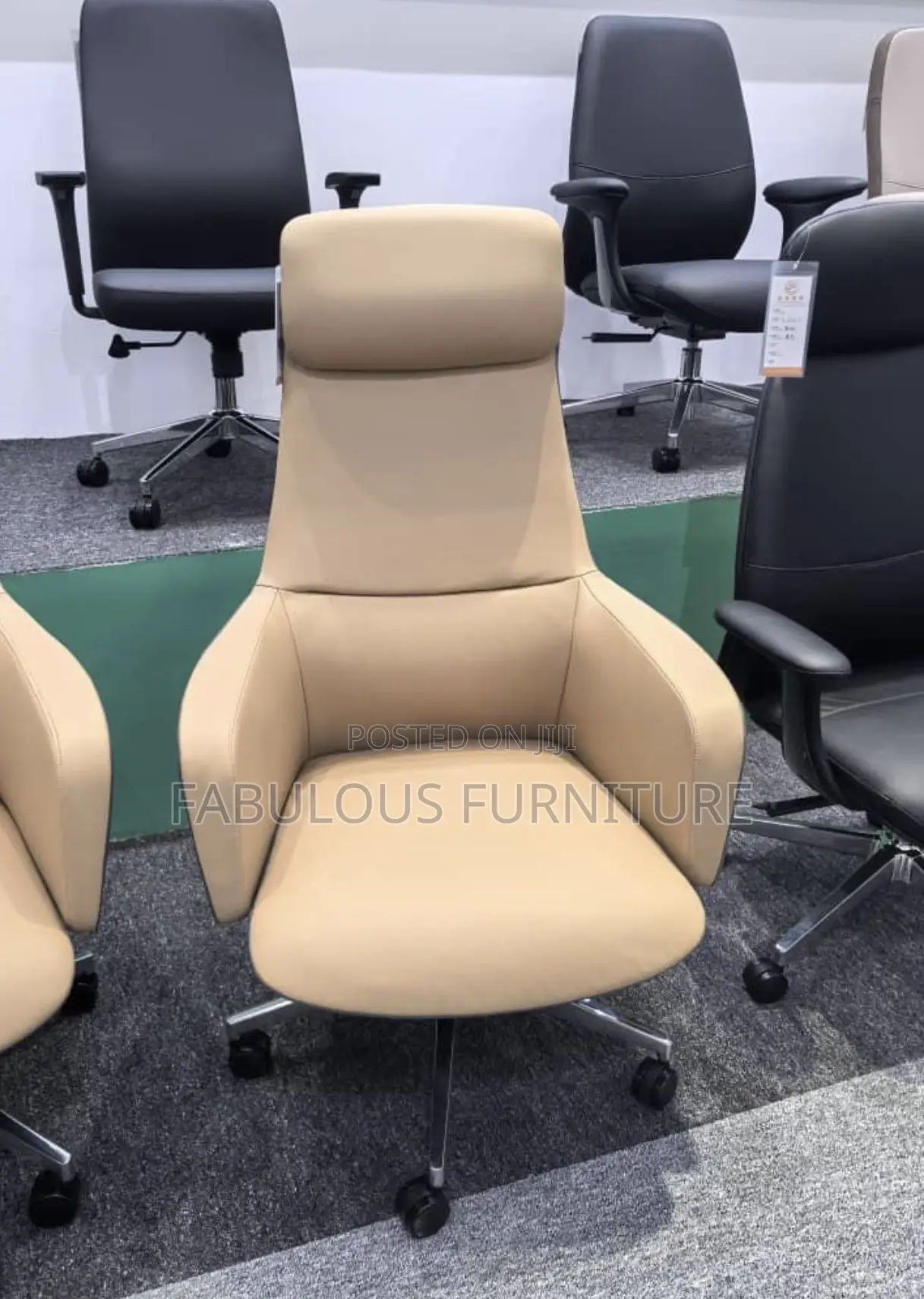 Imported Executive Office Chairs