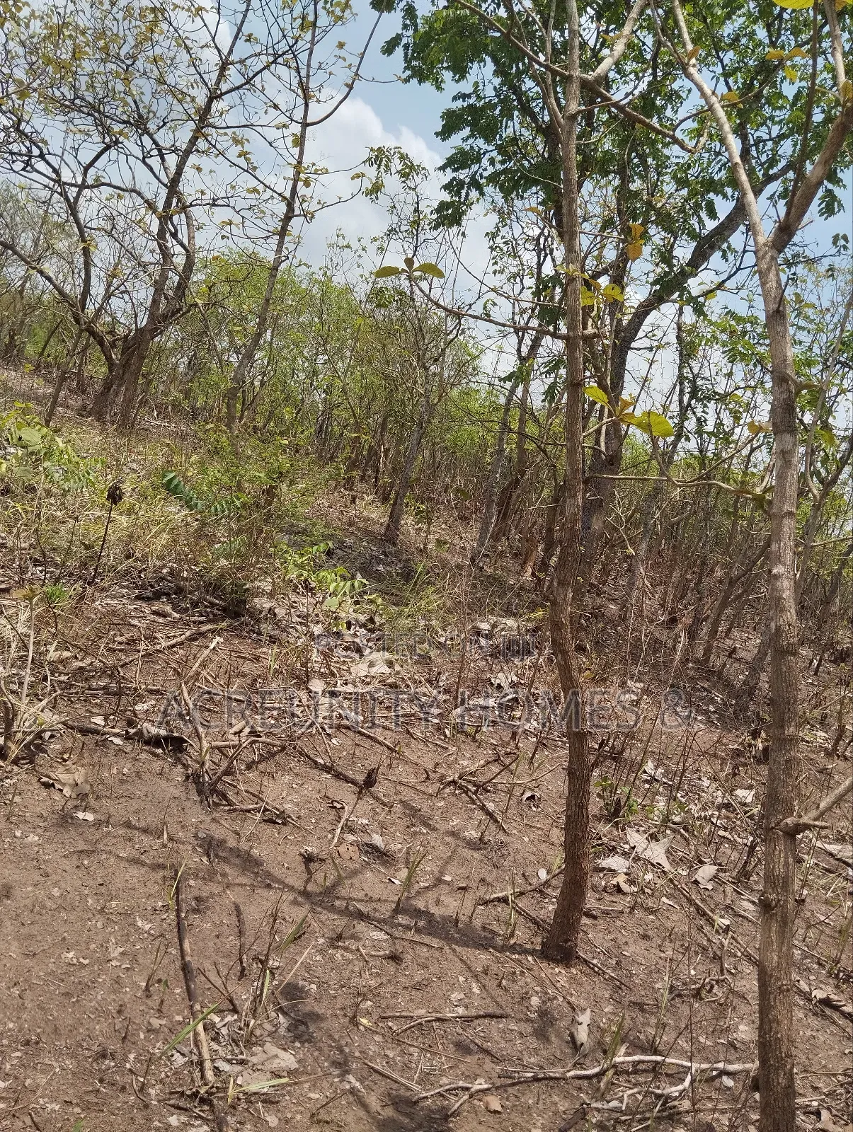 4000 Acres of Fertile Farmland at Ijio Town, Iwajowa Lg, Oyo State