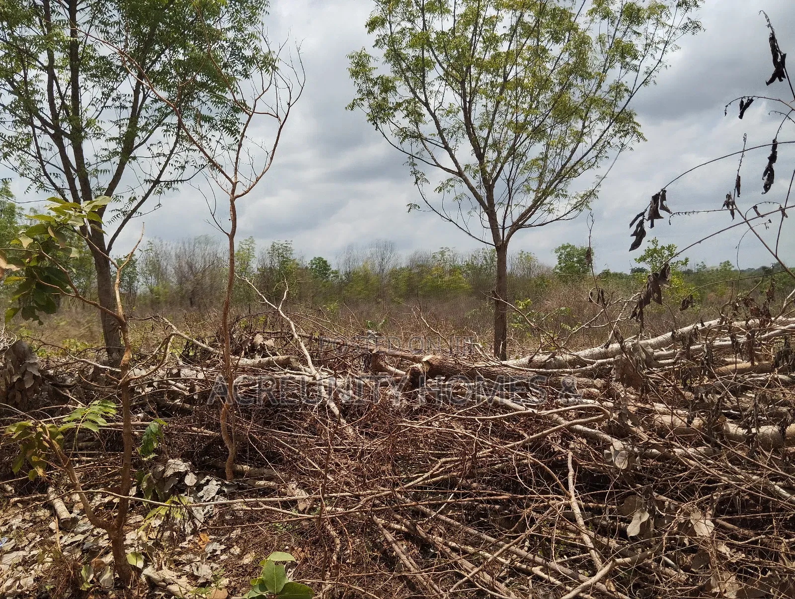 4000 Acres of Fertile Farmland at Ijio Town, Iwajowa Lg, Oyo State