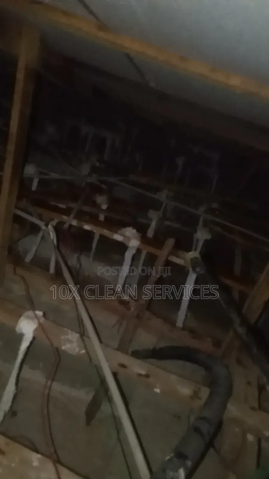 Roof Fumigation Against Termites, Snakes Rodents.Protect Ur Building