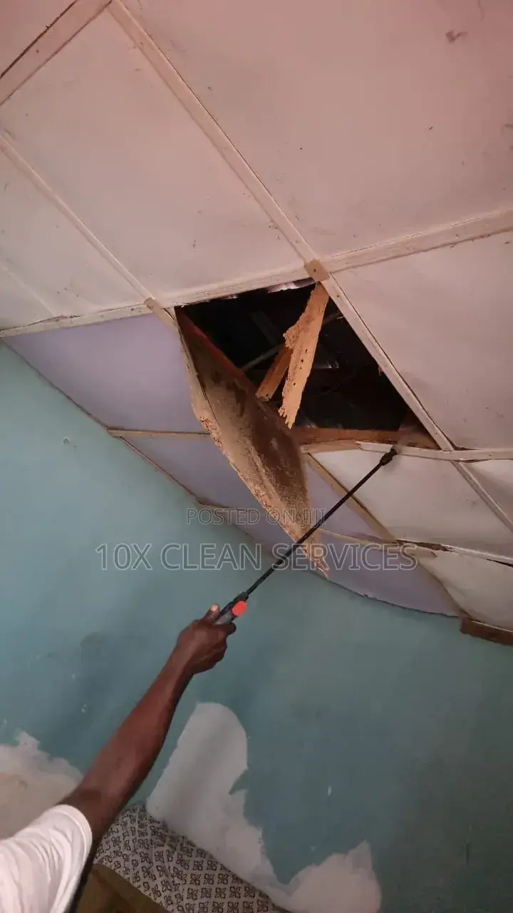 Roof Fumigation Against Termites, Snakes Rodents.Protect Ur Building