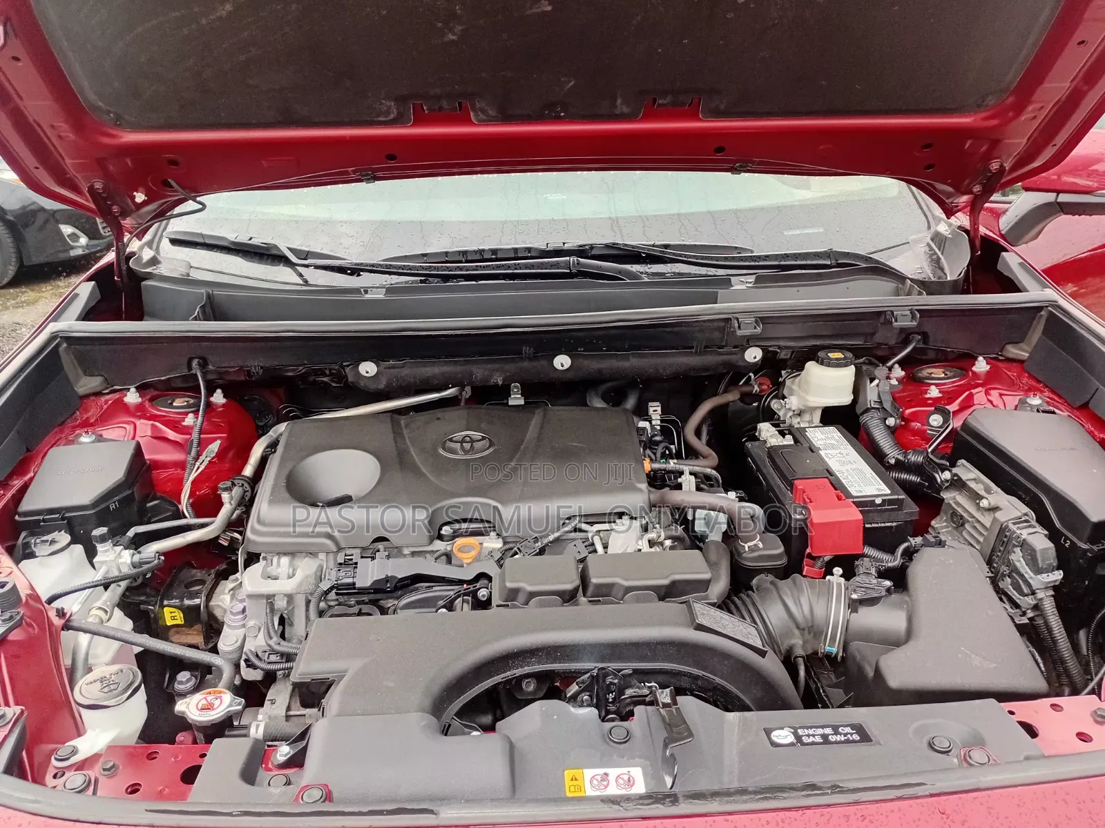 Toyota RAV4 XLE AWD 2024 Red