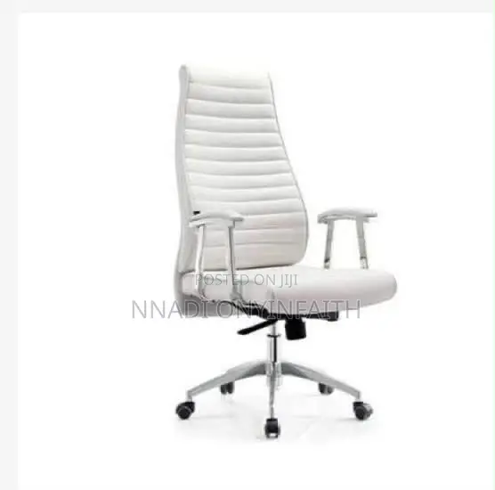 Ergonomic Office Chair