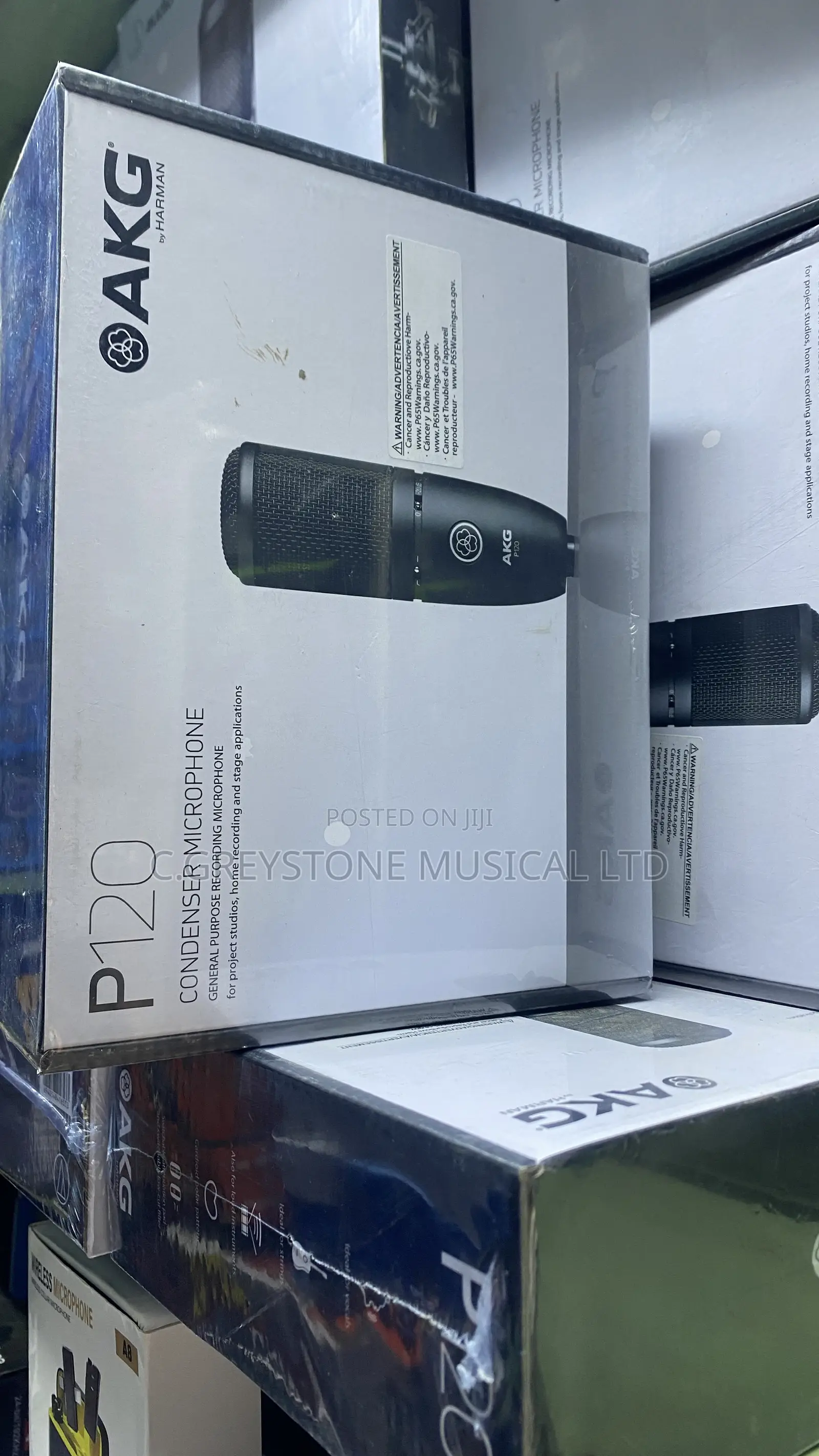 Akg P120 Studio Mic