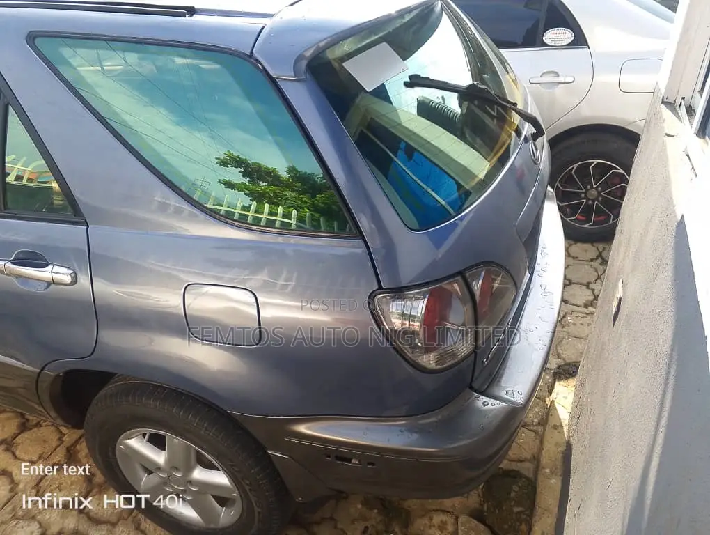 Lexus RX 2002 Gray