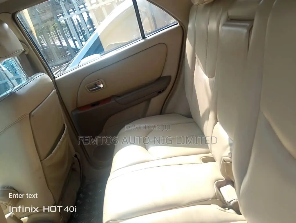 Lexus RX 2002 Gray