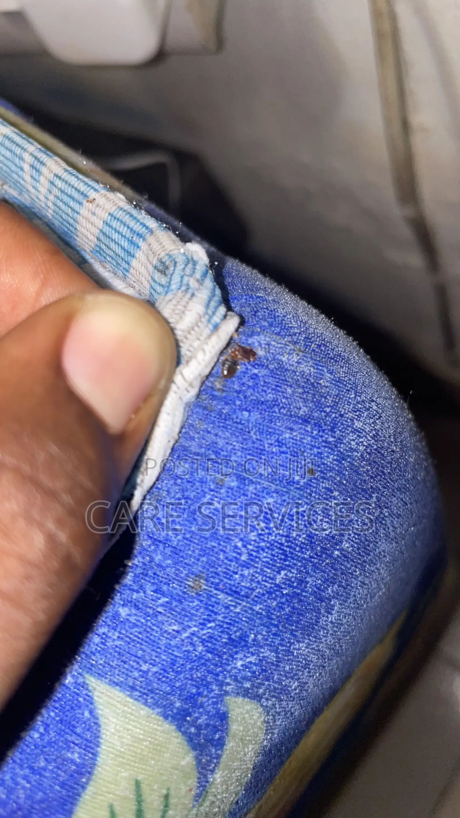 Best Bedbugs / Cockroaches Fumigation Services in Ikorodu