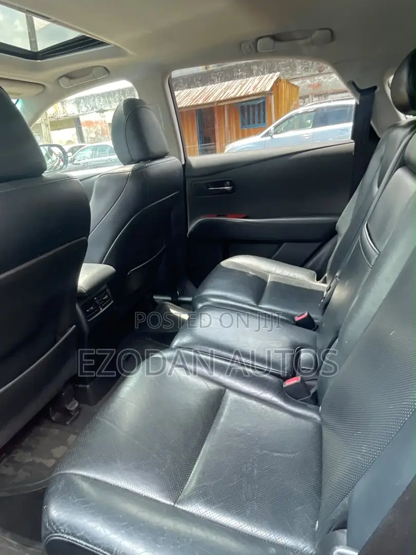 Lexus RX 2010 Gray