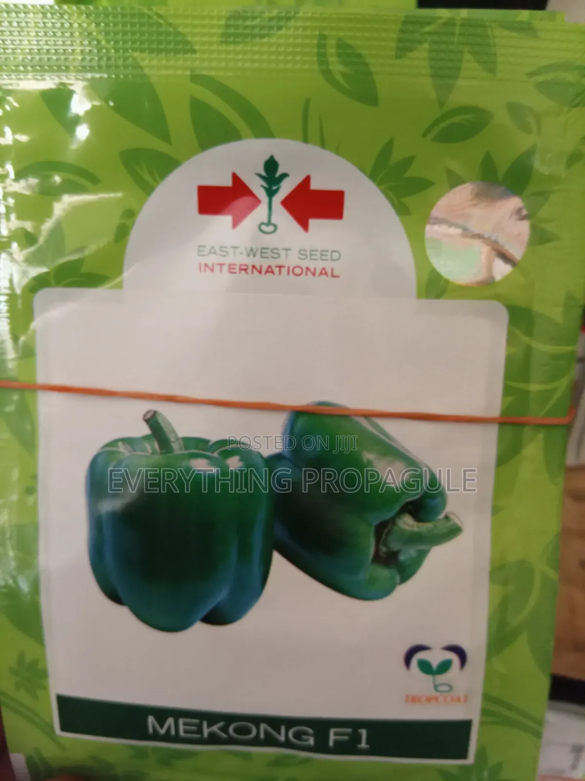 Mekong F1 Bell Pepper