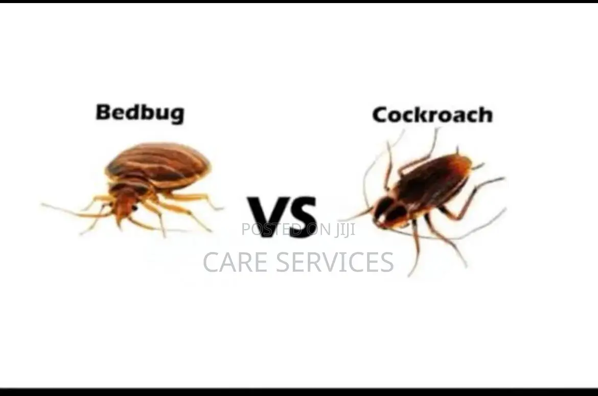 Best Bedbugs / Cockroaches Fumigation Services in Ikorodu