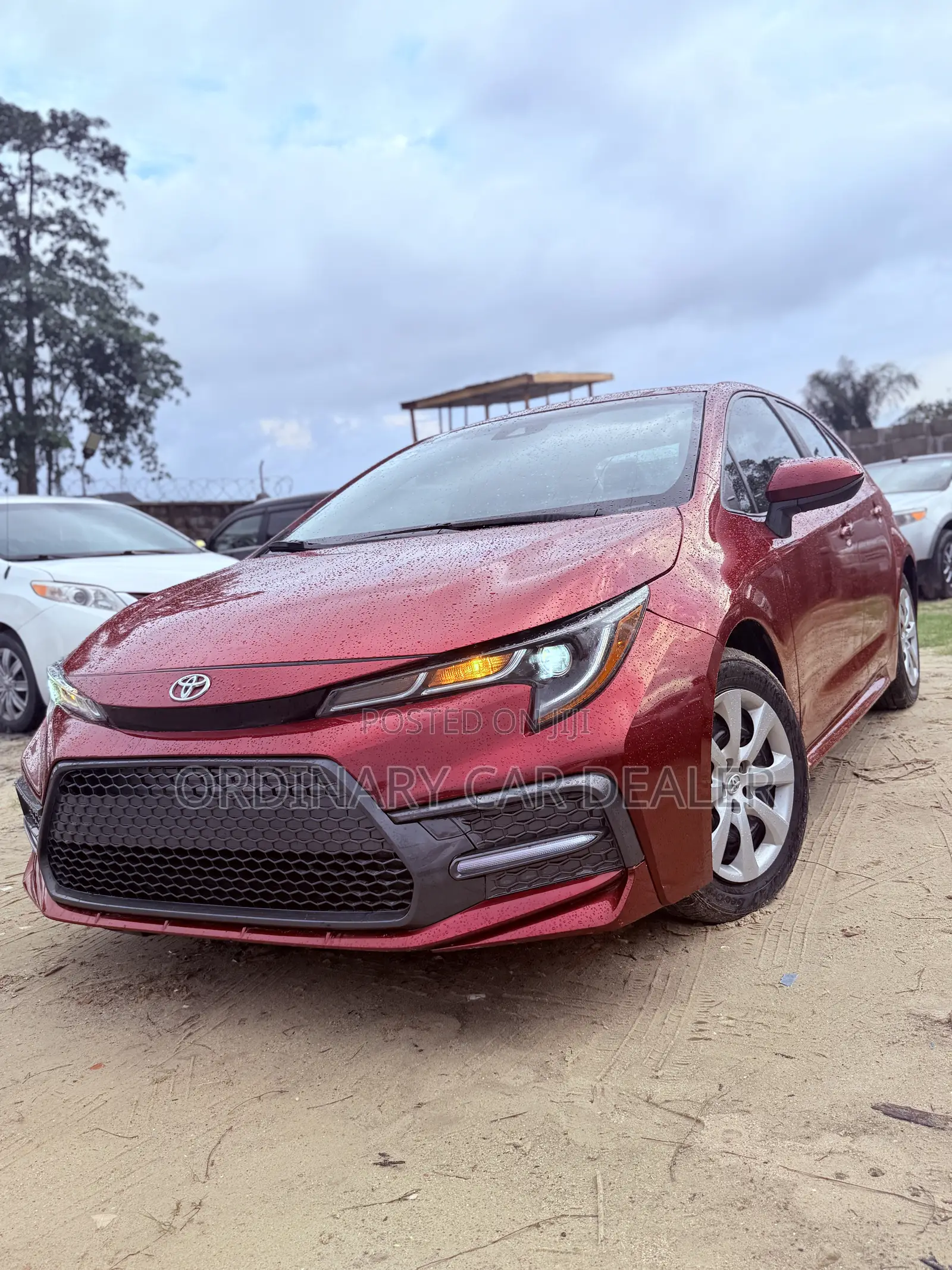 Toyota Corolla LE 2024 Burgundy