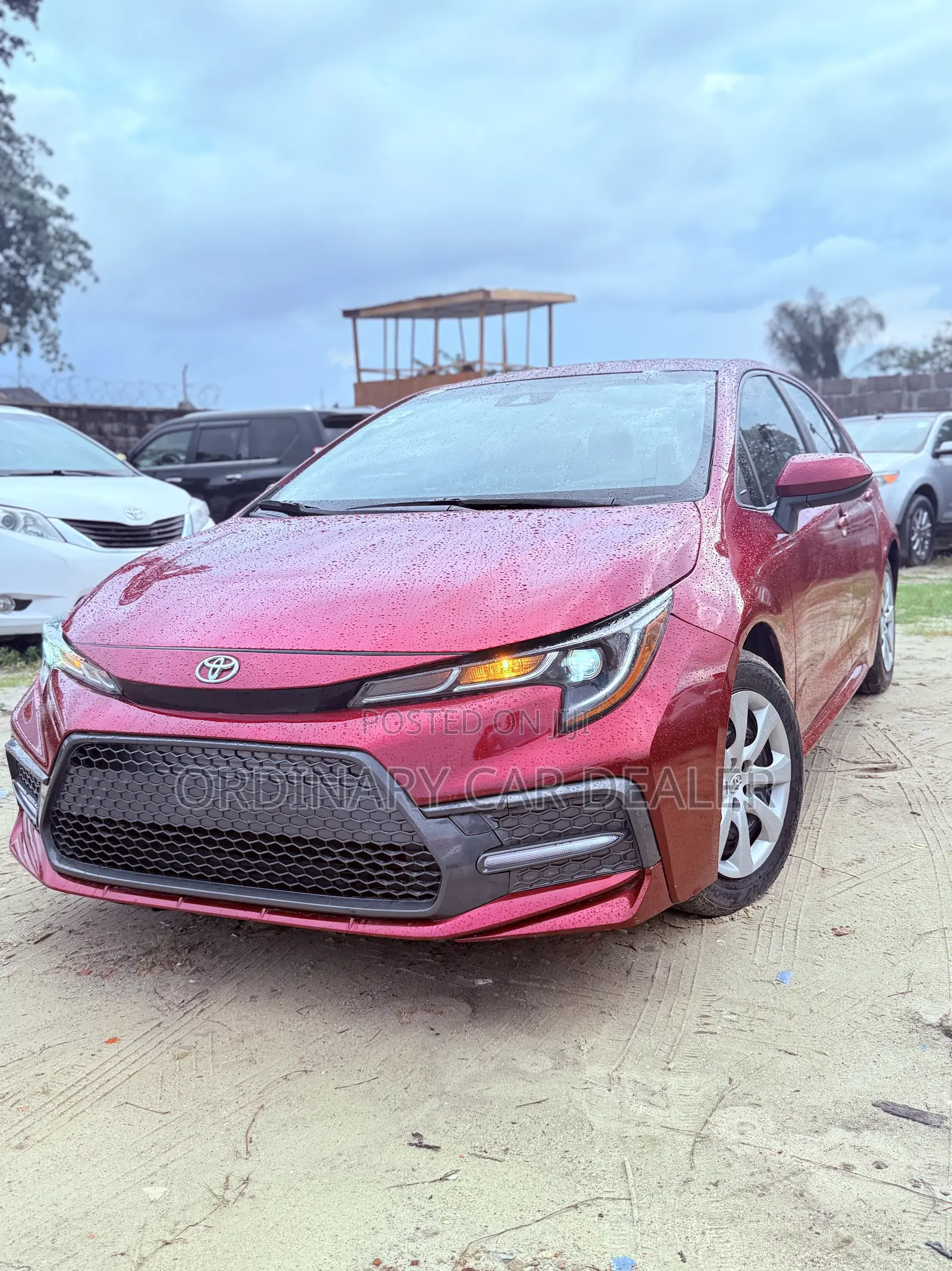 Toyota Corolla LE 2024 Burgundy