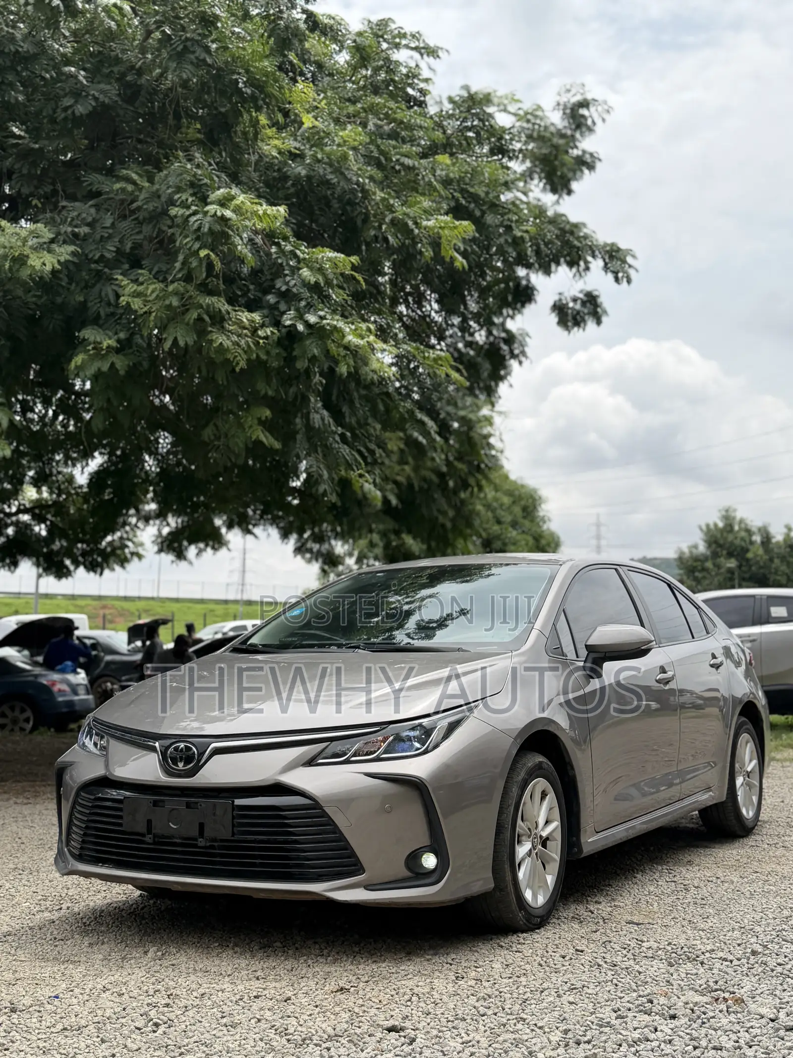 Toyota Corolla XLE 2021 Brown