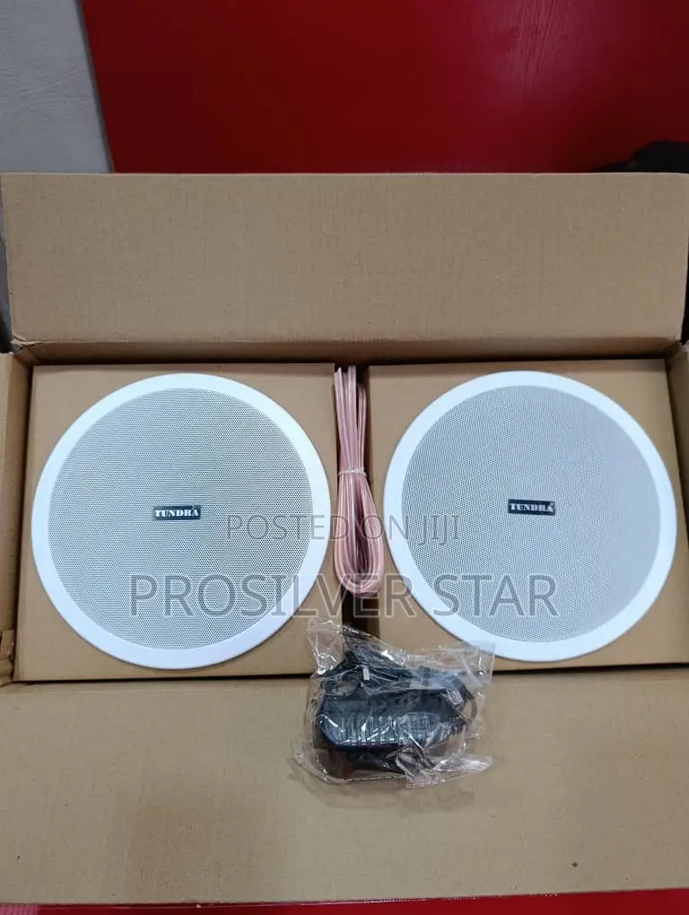 Tundra 20watt 2in1 Bluetooth Speaker