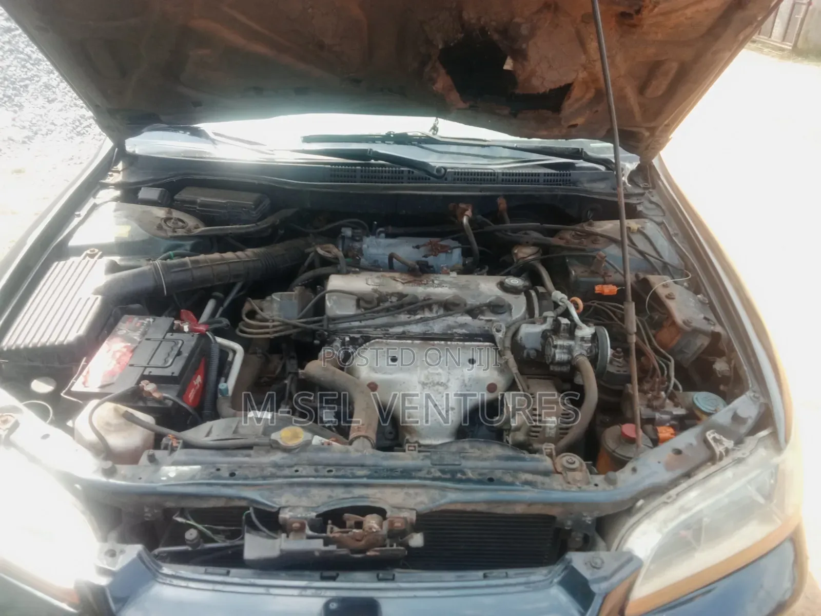 Honda Accord Wagon 2000 Green