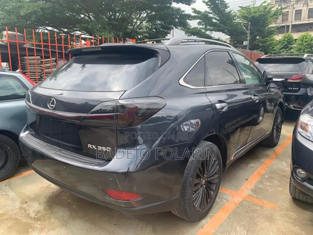 Lexus RX 2010 Gray