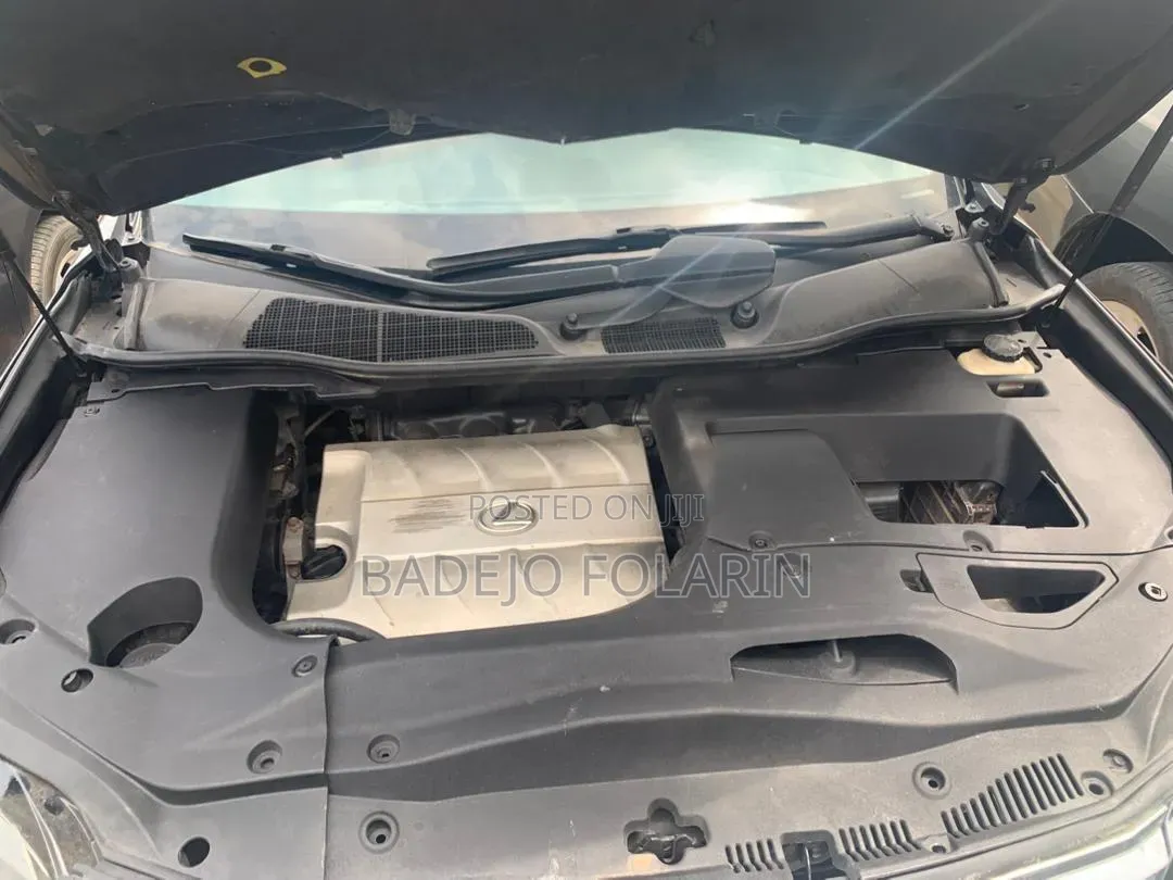 Lexus RX 2010 Gray