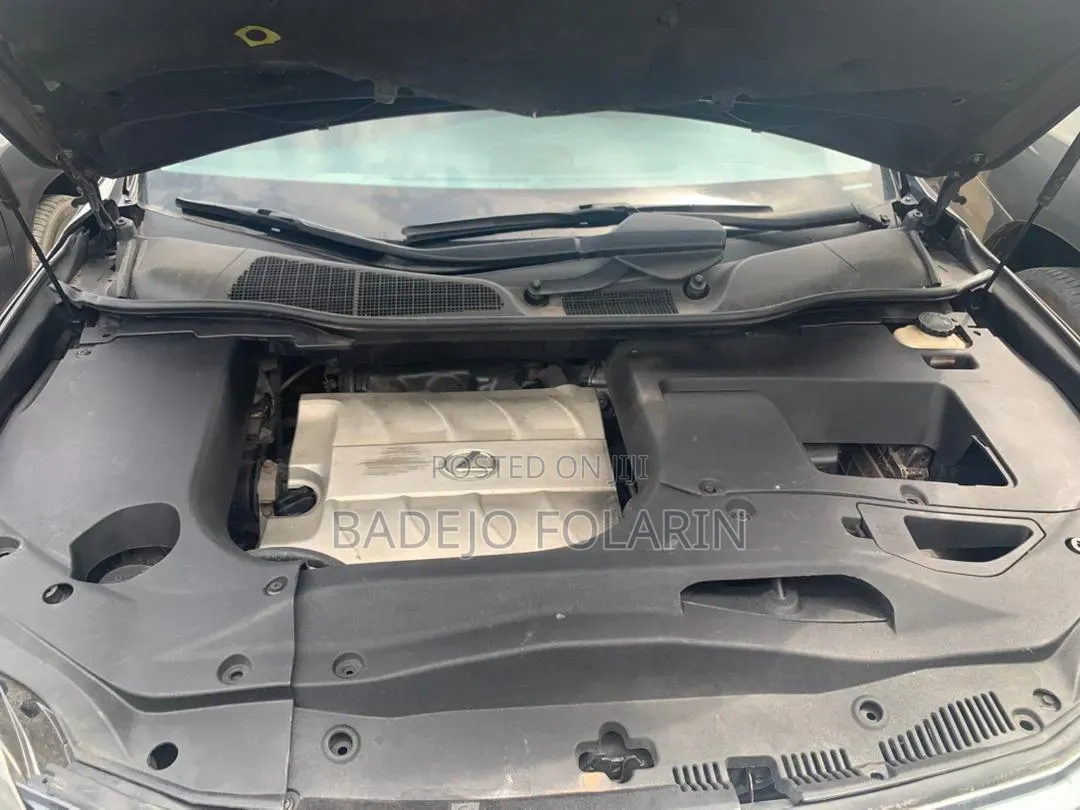 Lexus RX 2010 Gray