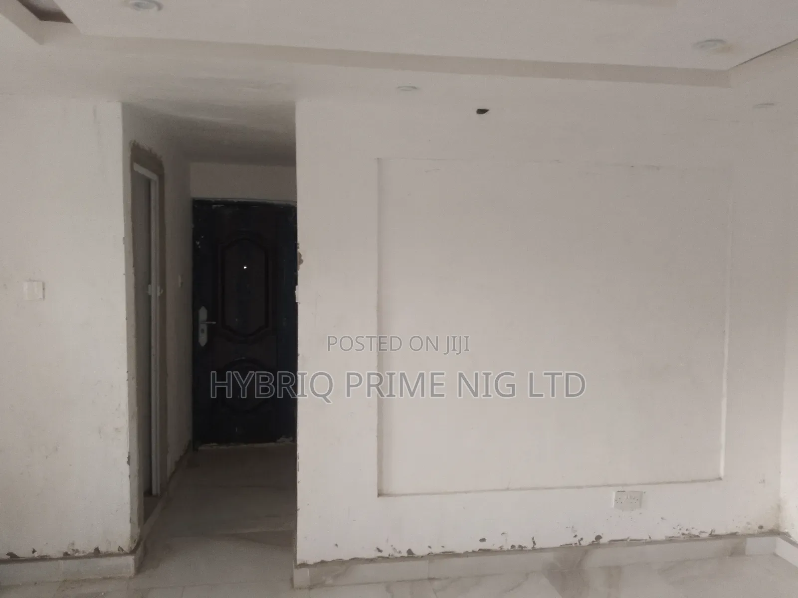 Professional Wall Screeding (Putty, Pop Black Cement)