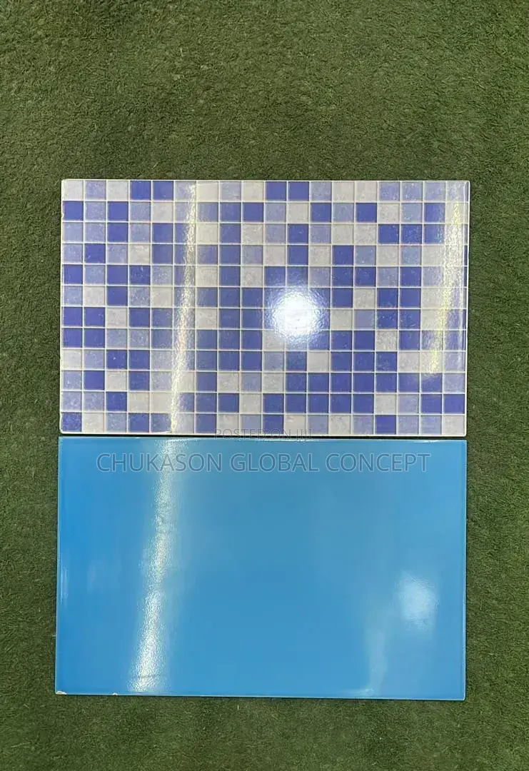 25x40 Nigerian Swimming Tile