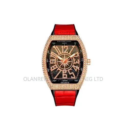 Pintime Quality Ice Out Wristwatch