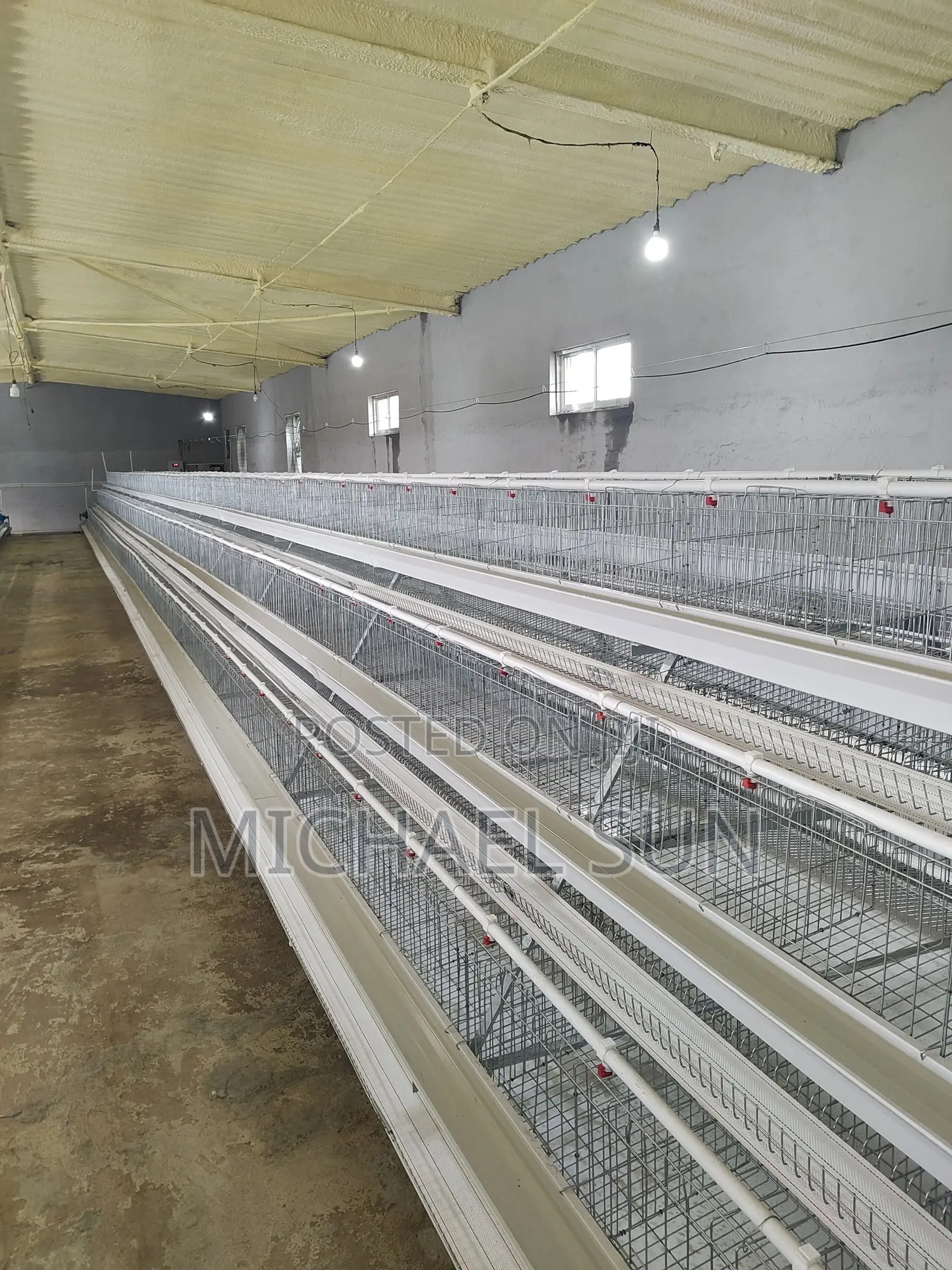 Imported Poultry Cage Battery Cage