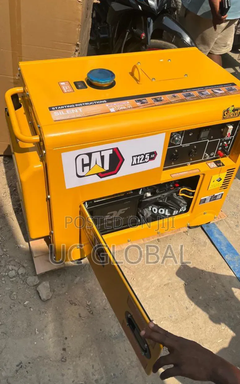 Cat Soundproof Diesel Generator