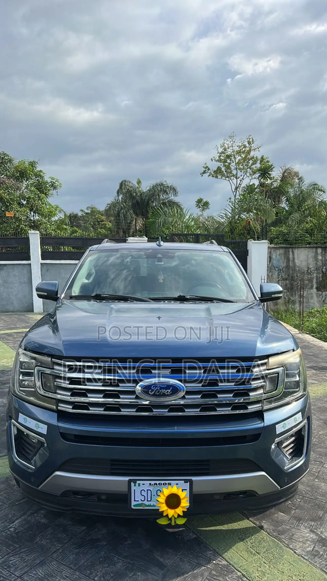 Ford Expedition XLT 4x4 2019 Blue
