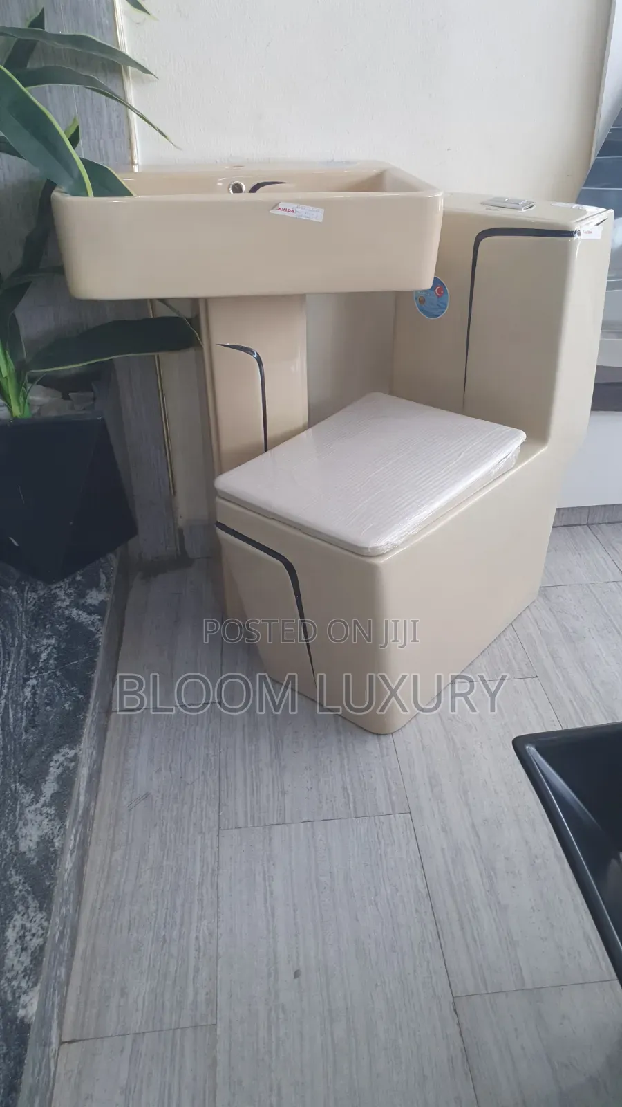Executive Cream Water Closet With Wall Hung Basin