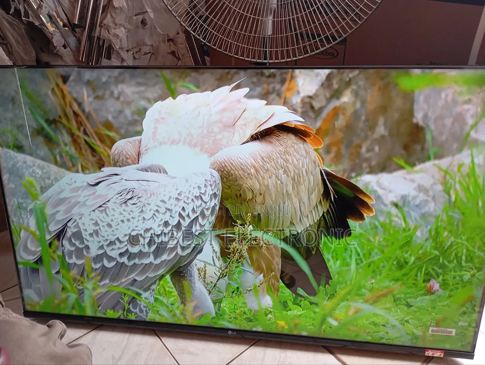 Hisense Led Tv 32 Inches With Two Years Warranty Brand New