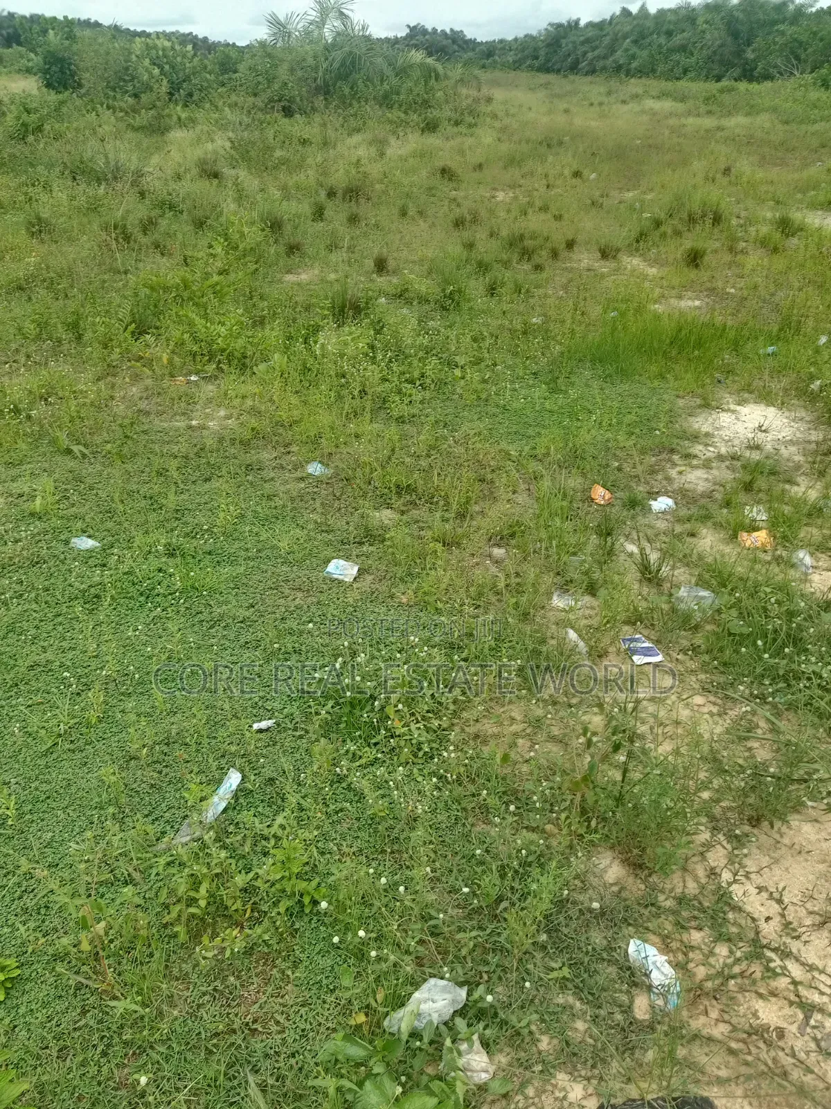 Olunde Olomi Land Academy Rd Ibadan, Pay and Get Allocated