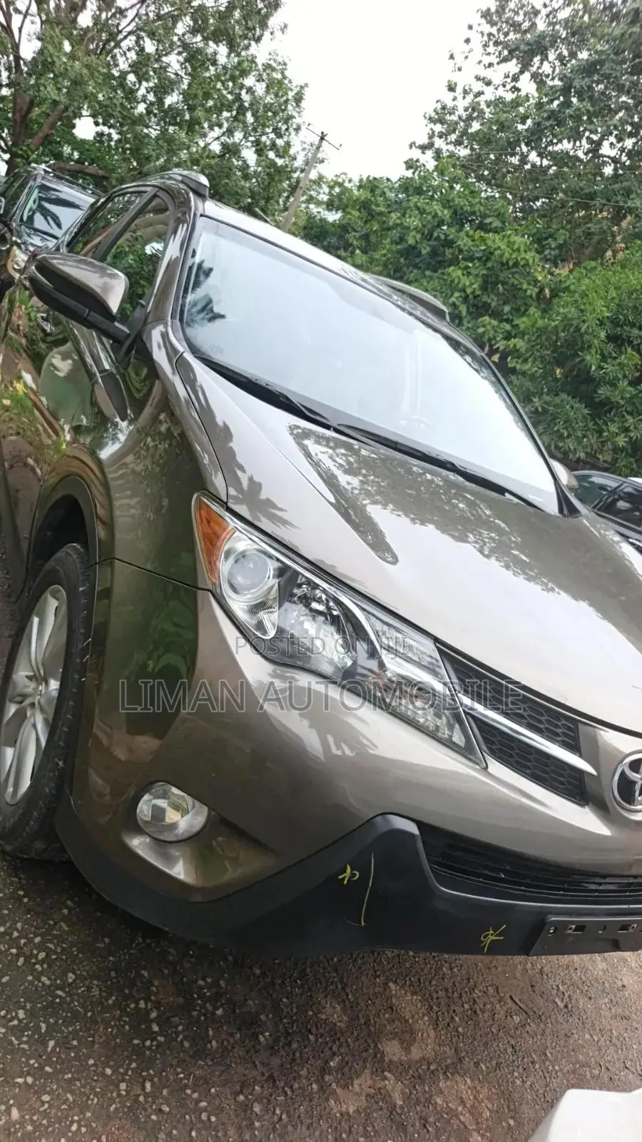 Toyota RAV4 Limited 4dr SUV AWD (2.5L 4cyl 6A) 2014 Brown