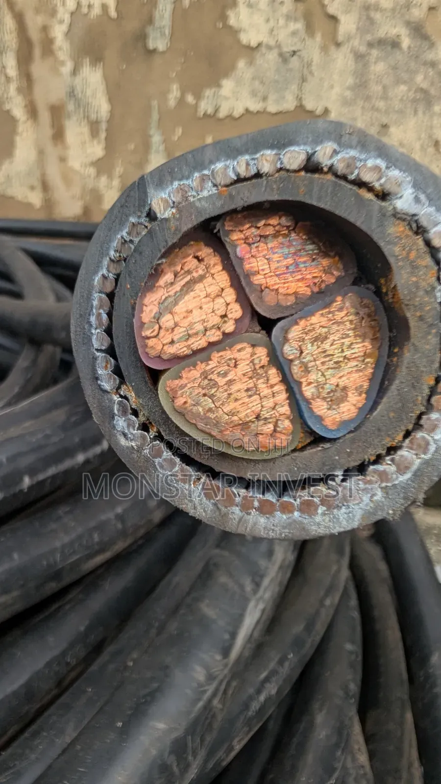 Armored Cable