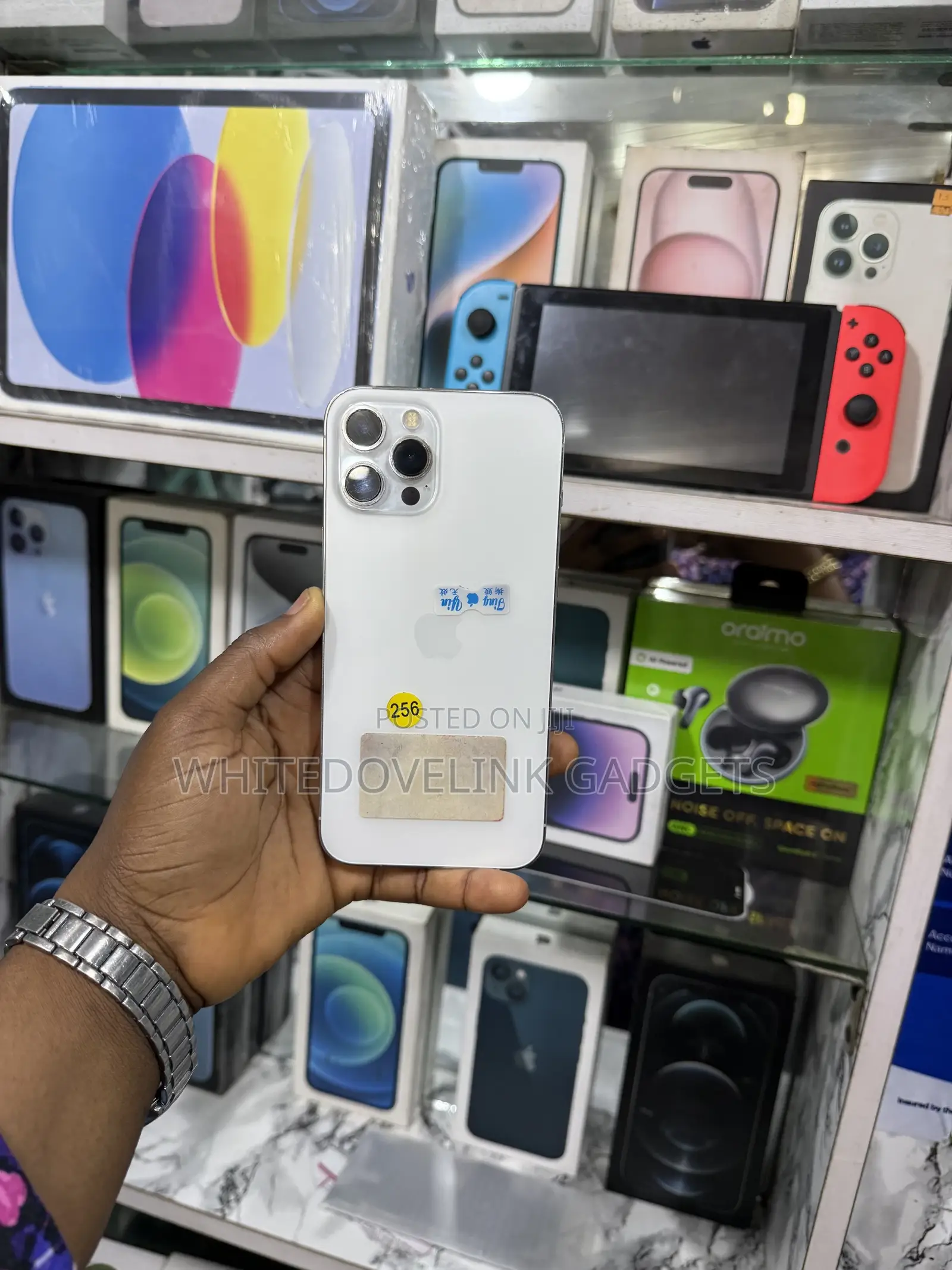 Apple iPhone 12 Pro Max 256 GB Silver
