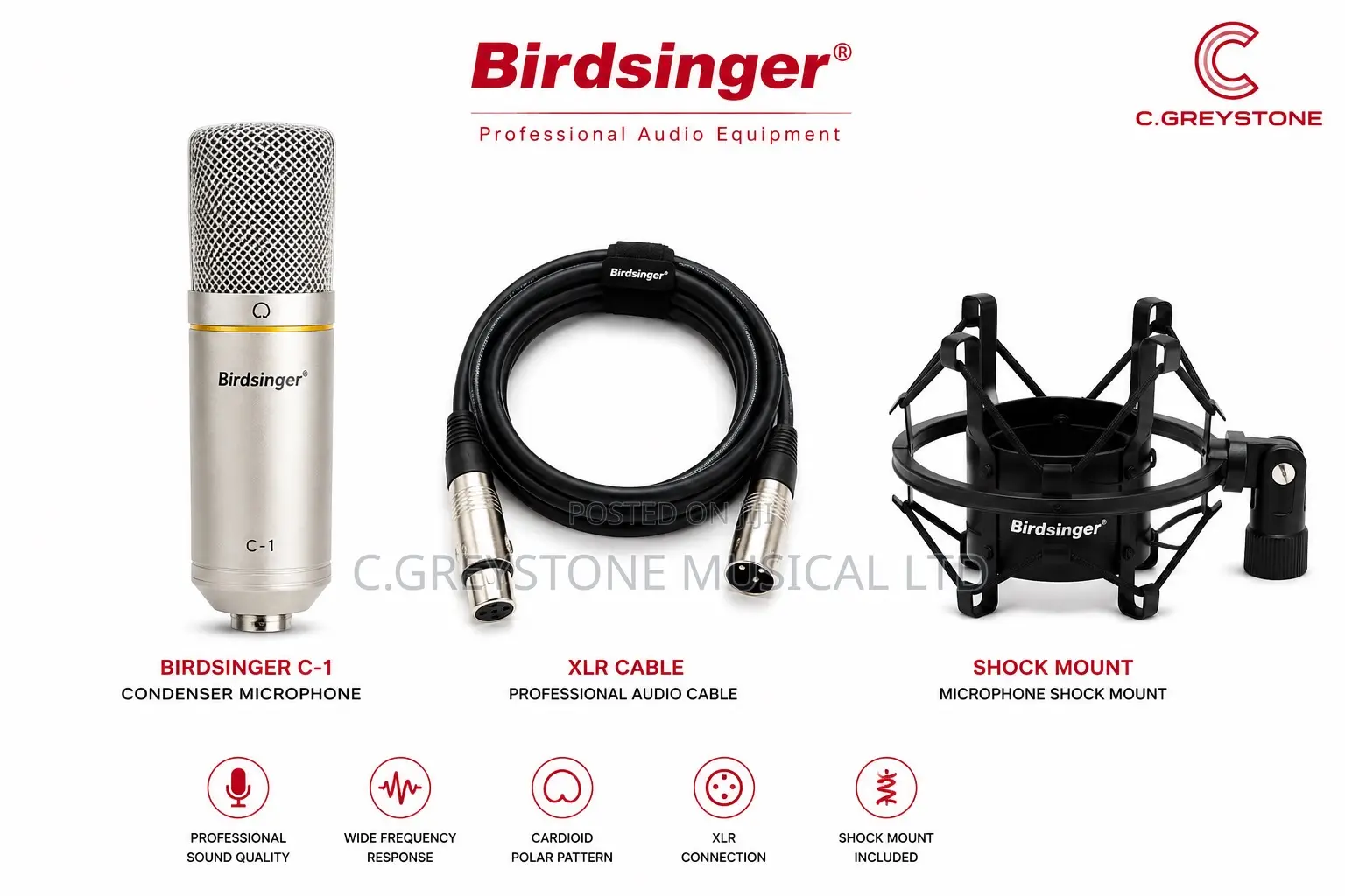 Studio Recording Mic C1-Birdsinger