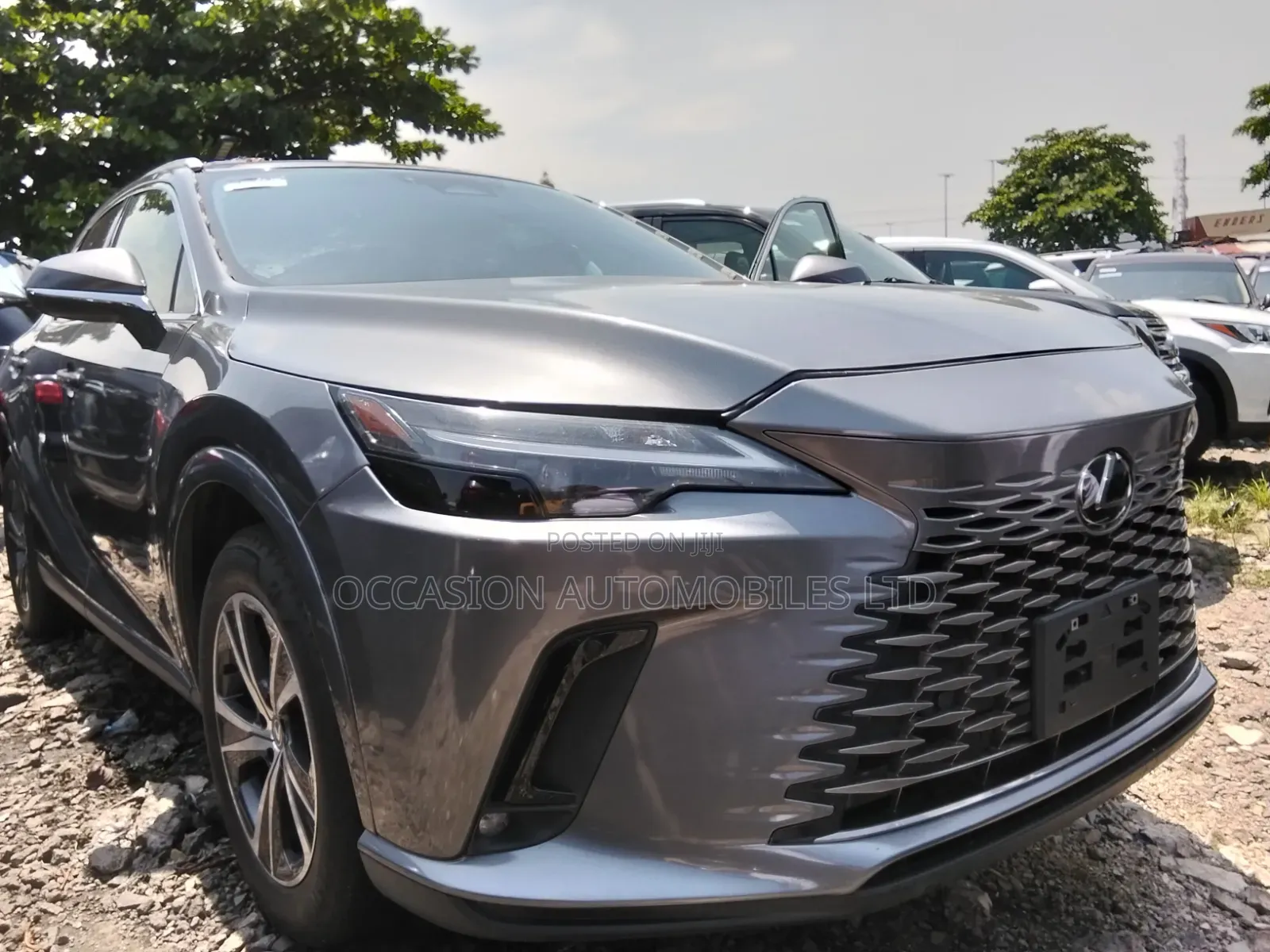 Lexus RX 2024 Gray