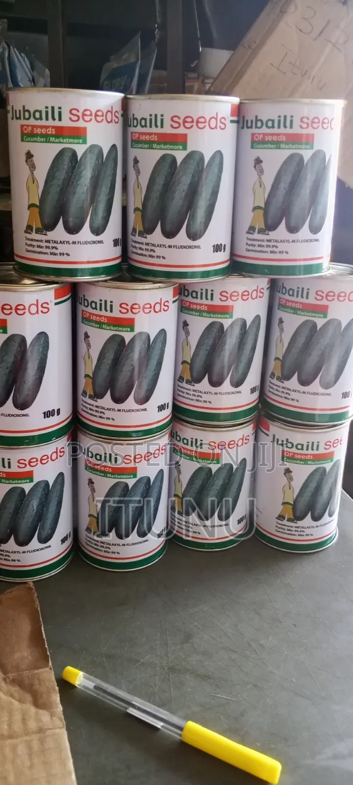 Cucumber Marketmore 100g