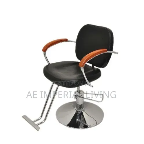 Professional Hydraulic Salon and Styling Chair
