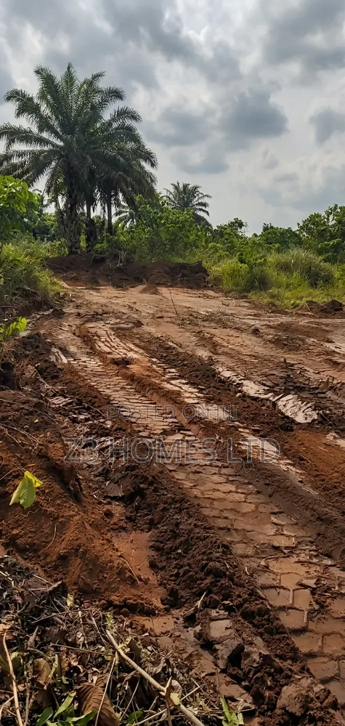 Plots Land Available At Campus Villa Estate Extension, Abara Etche