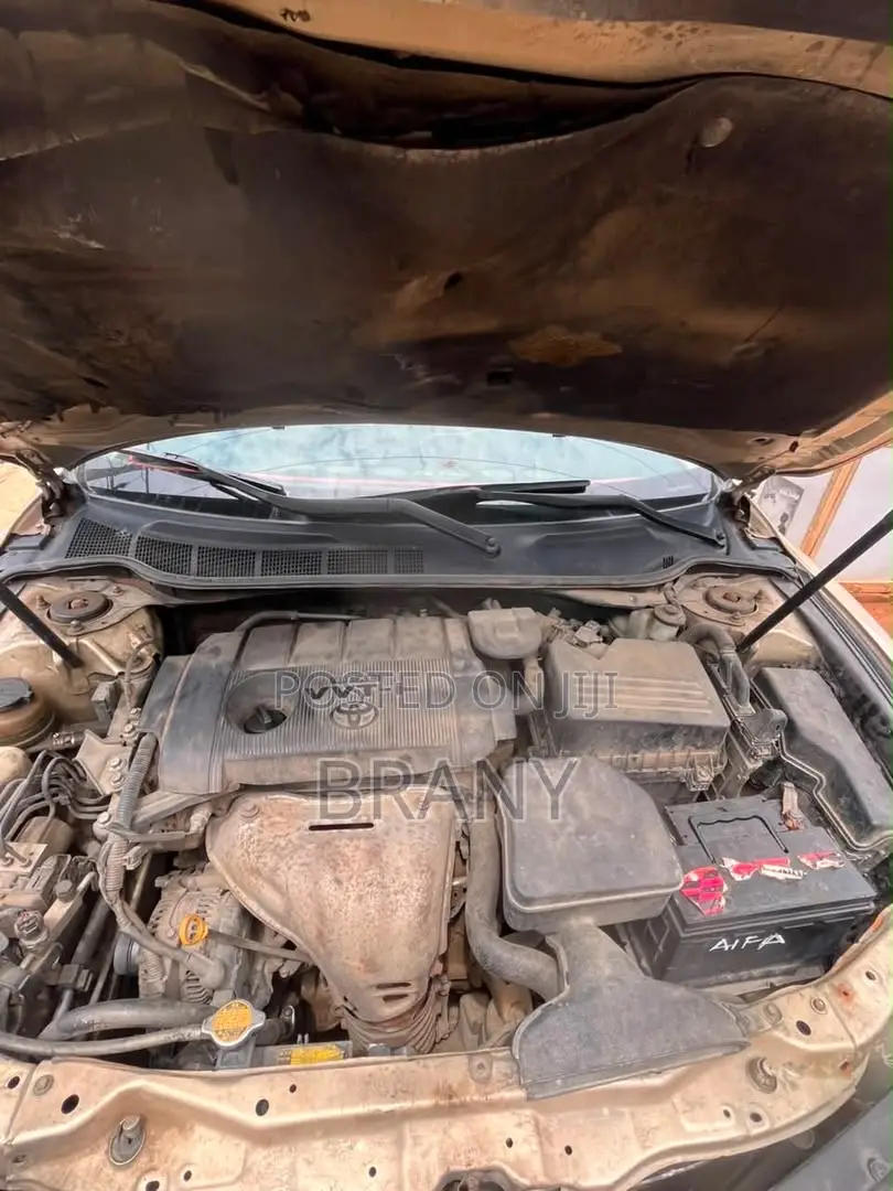 Toyota Camry LE 4dr Sedan (2.5L 4cyl 6AM) 2010 Gold