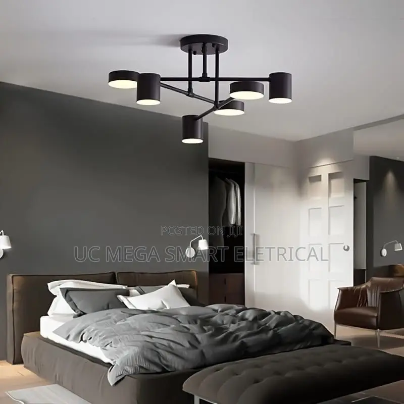 Modern Black Ceiling Chandeliers for Living Room Hall Light Fixture